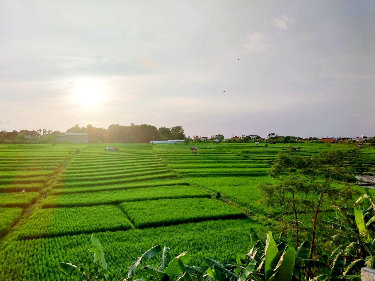 Вилла, 3 спальни