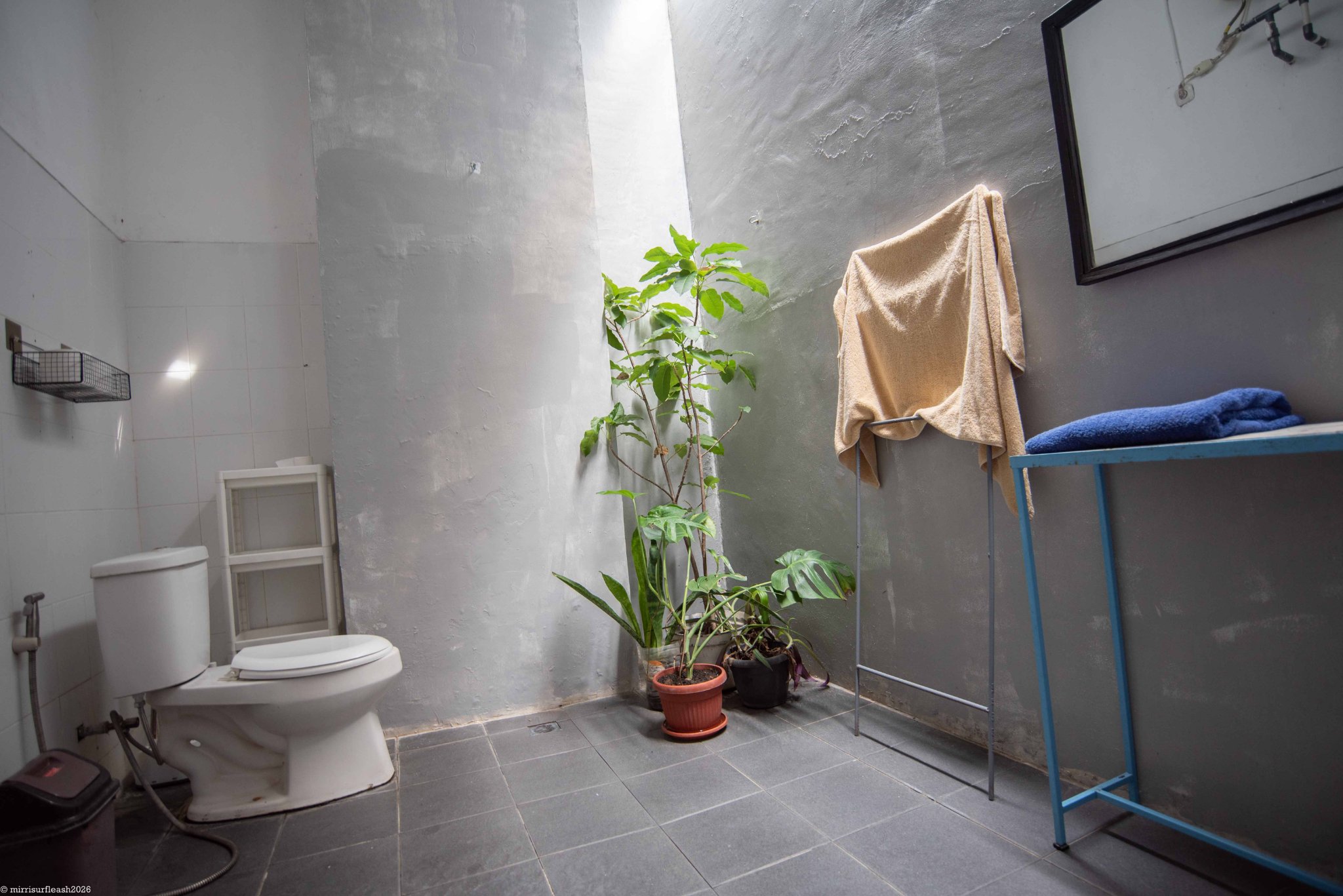 Апартаменты, 1 спальня