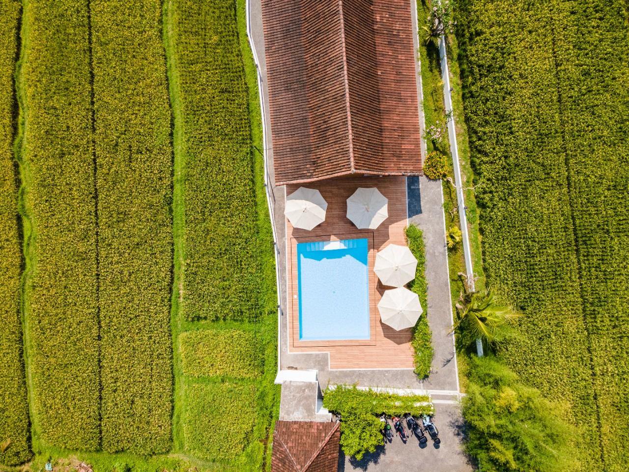 Апартаменты, 1 спальня