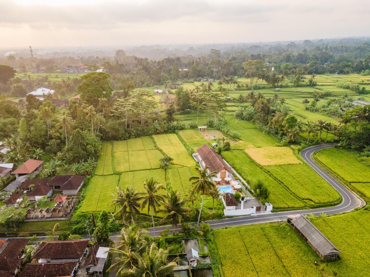 Апартаменты, 1 спальня