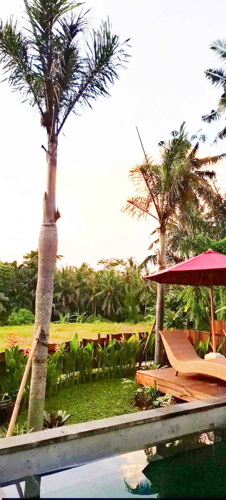 Вилла, 2 спальни