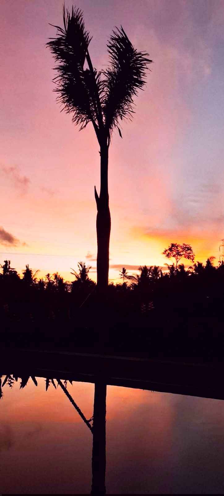 Вилла, 2 спальни