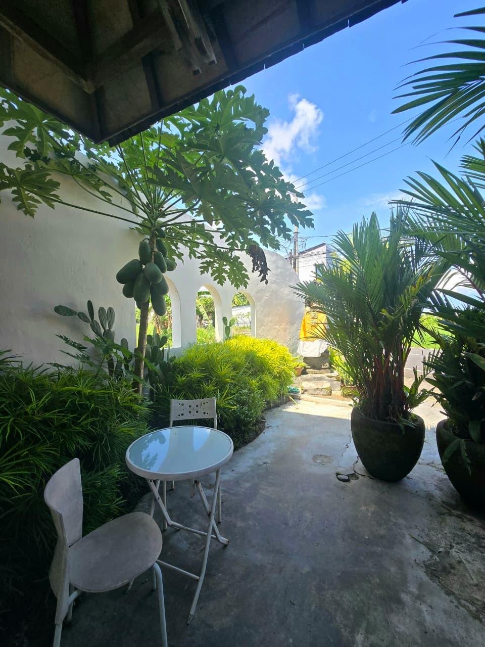 Апартаменты, 1 спальня