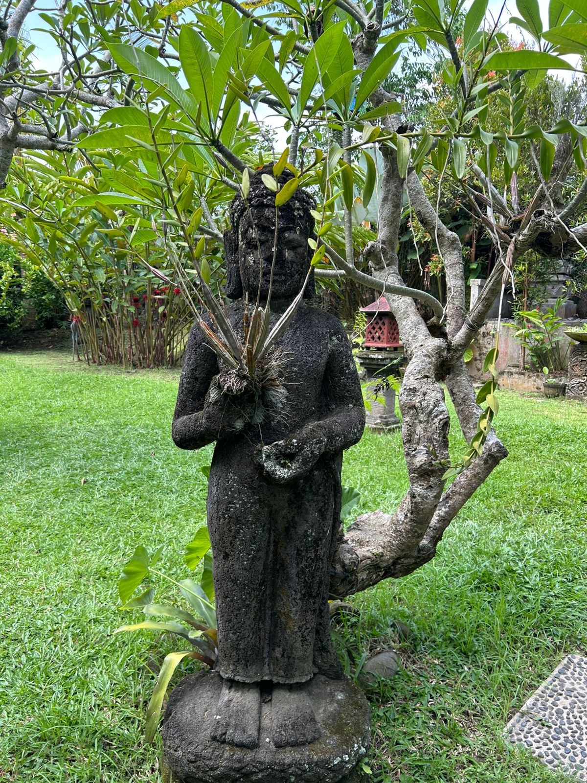 Апартаменты