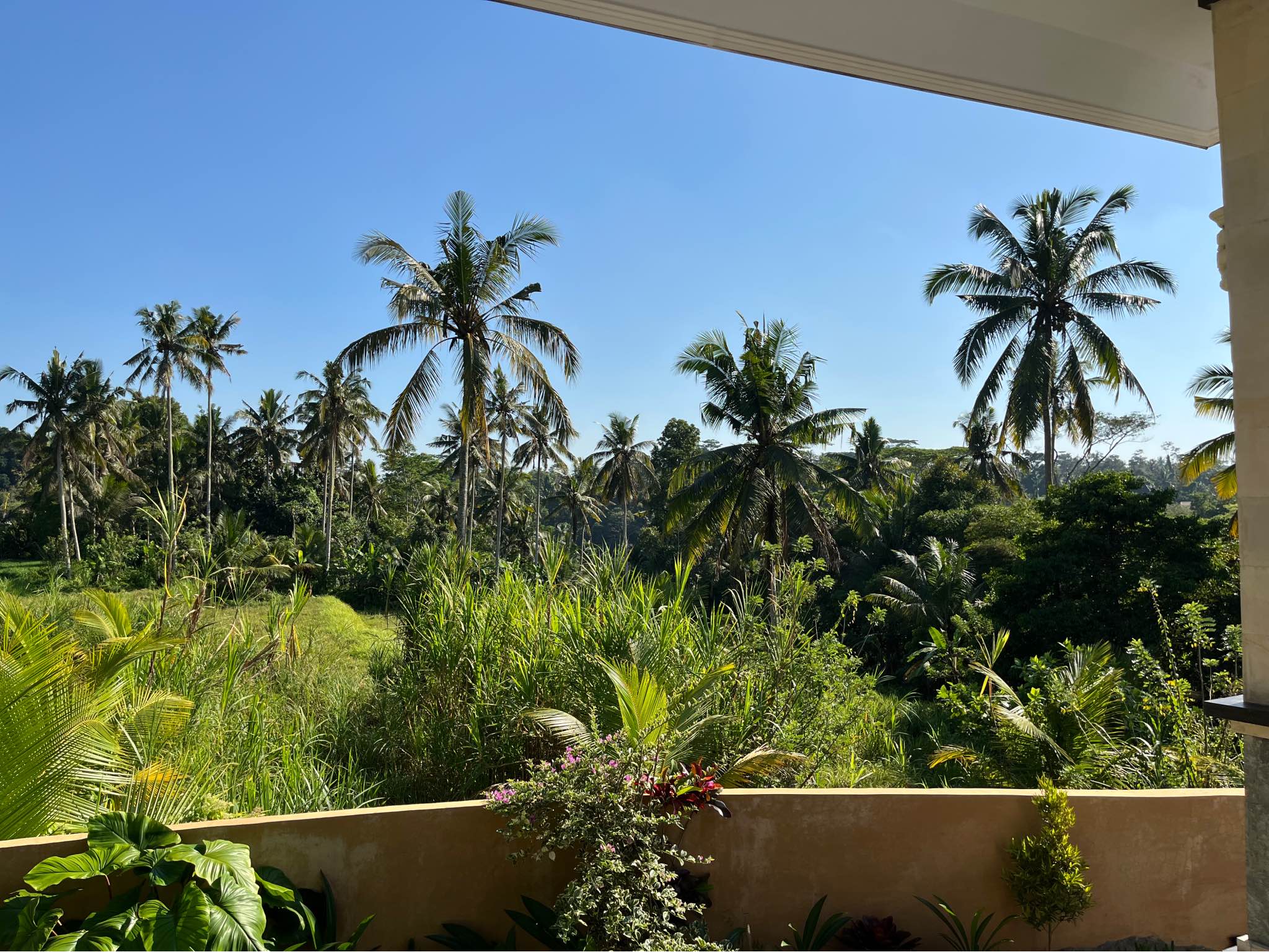 Дом, 1 спальня