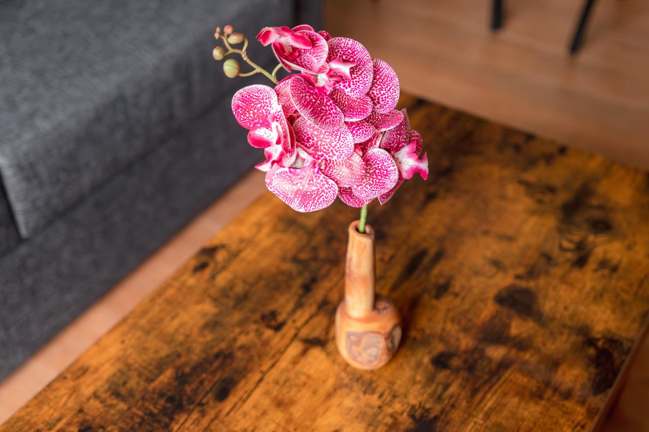 Вилла, 1 спальня