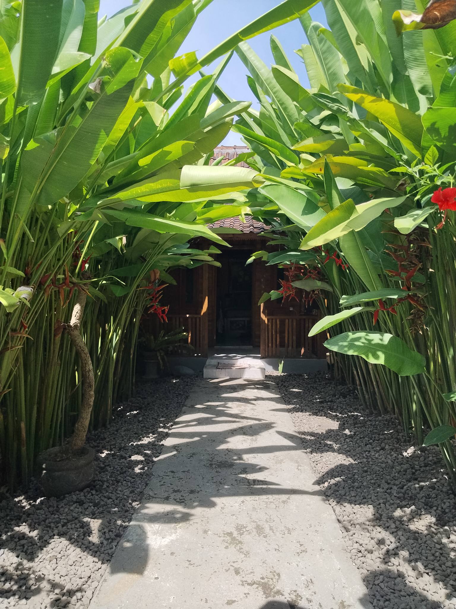 Дом, 1 спальня