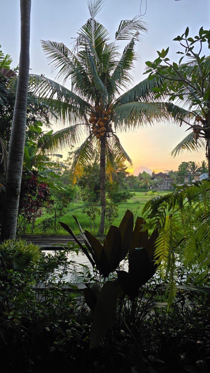 Вилла, 1 спальня