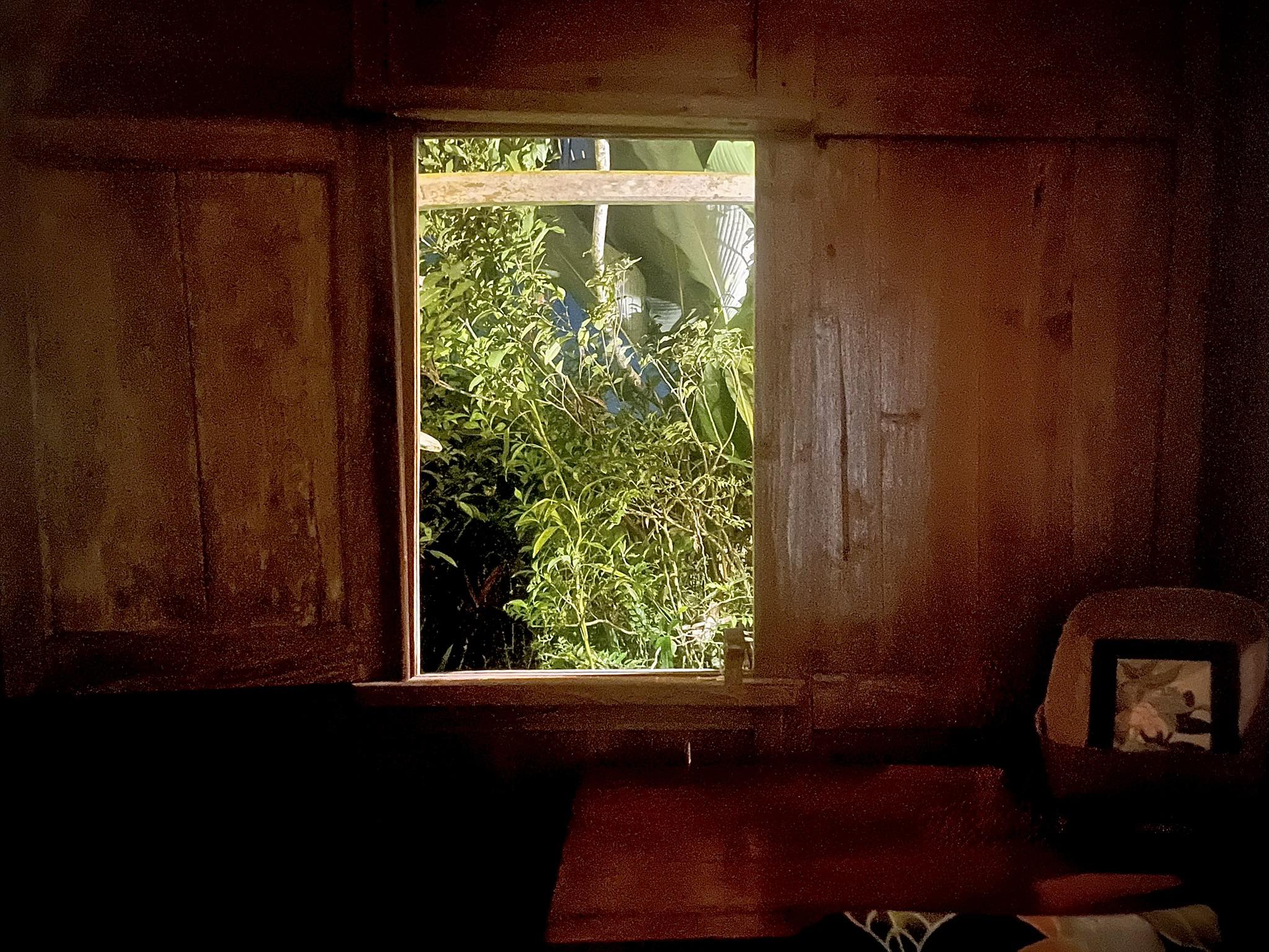 Вилла, 1 спальня