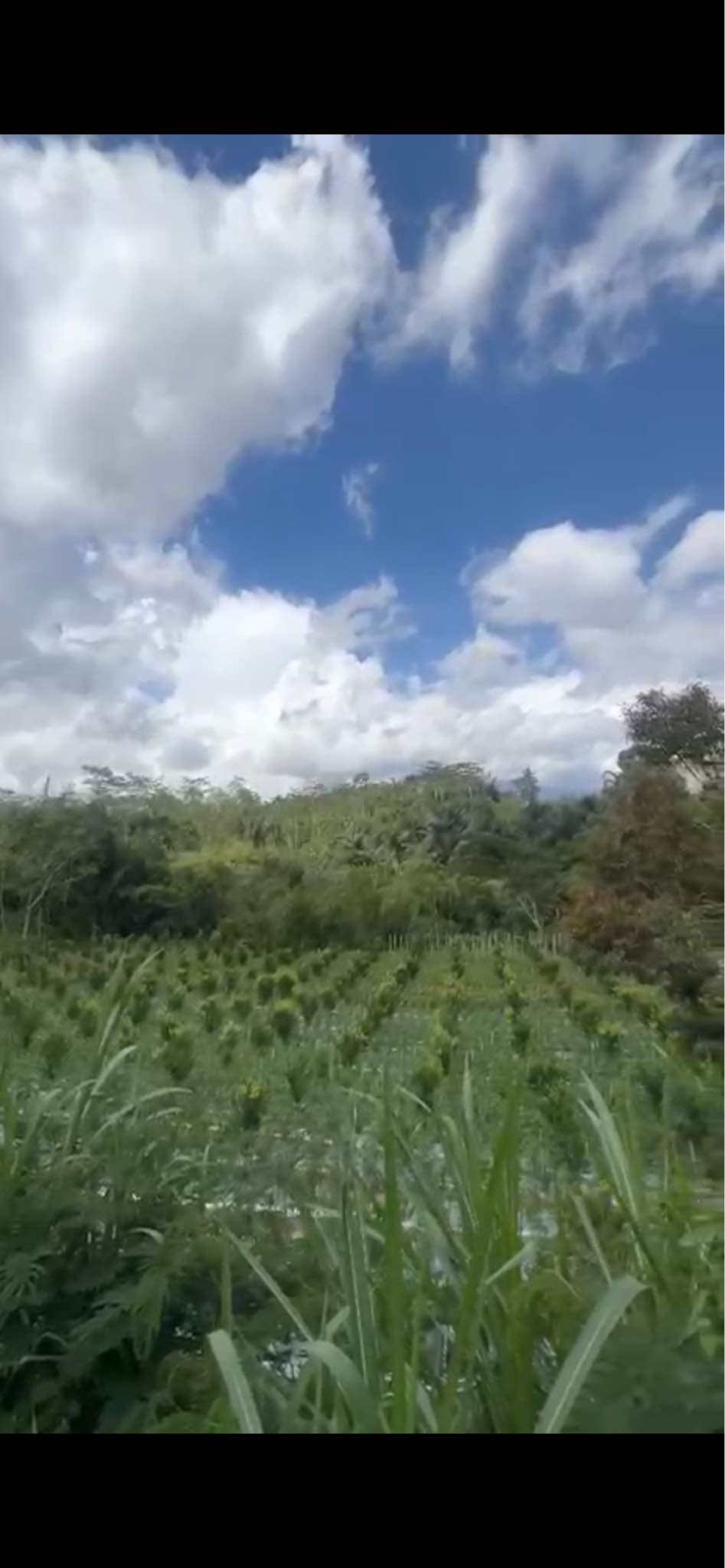 Дом, 2 спальни