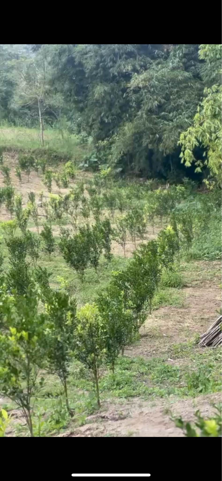 Дом, 2 спальни