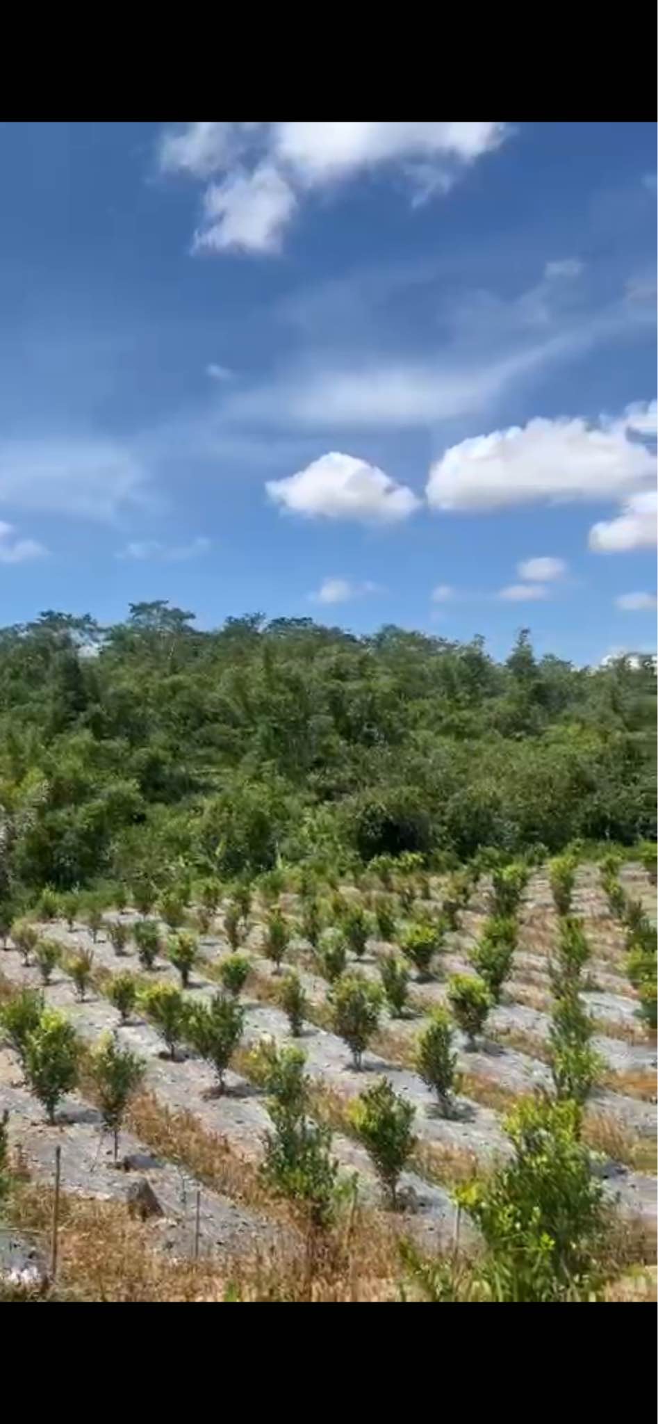 Дом, 2 спальни