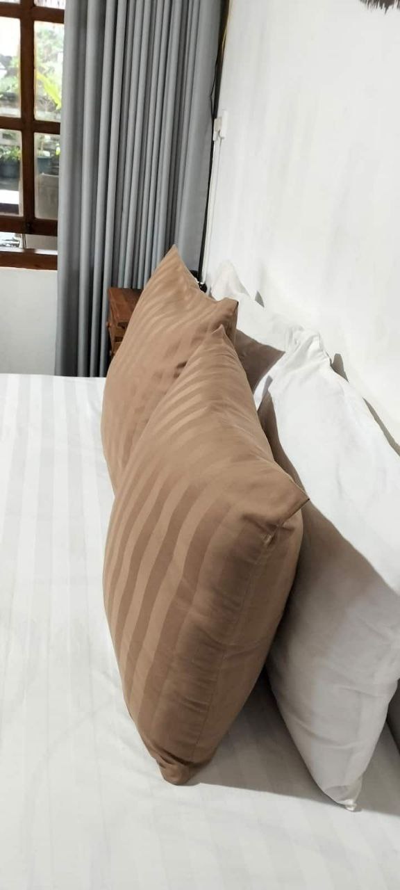 Дом, 1 спальня