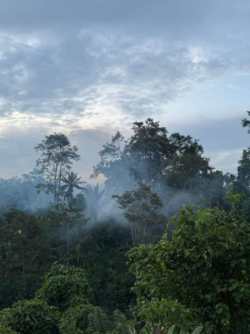 Вилла, 2 спальни