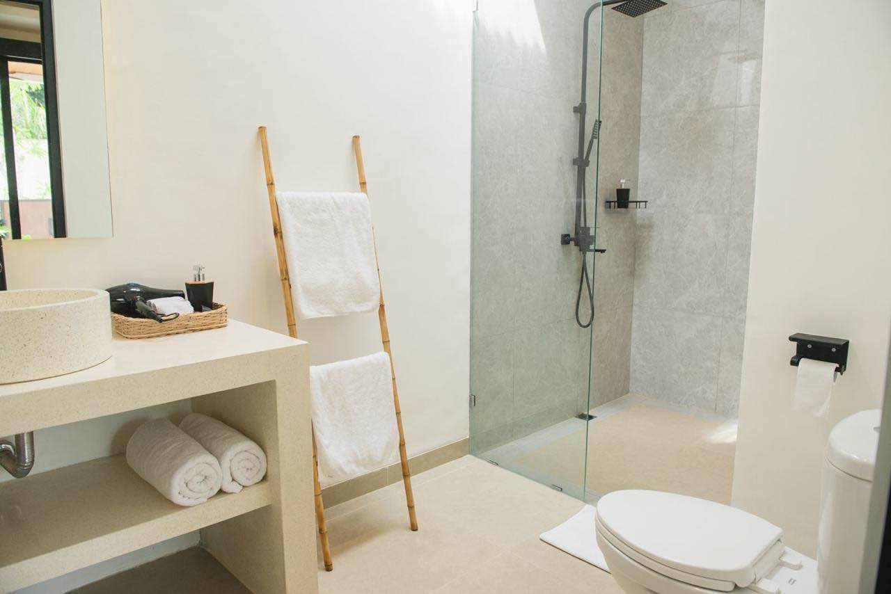 Апартаменты, 1 спальня