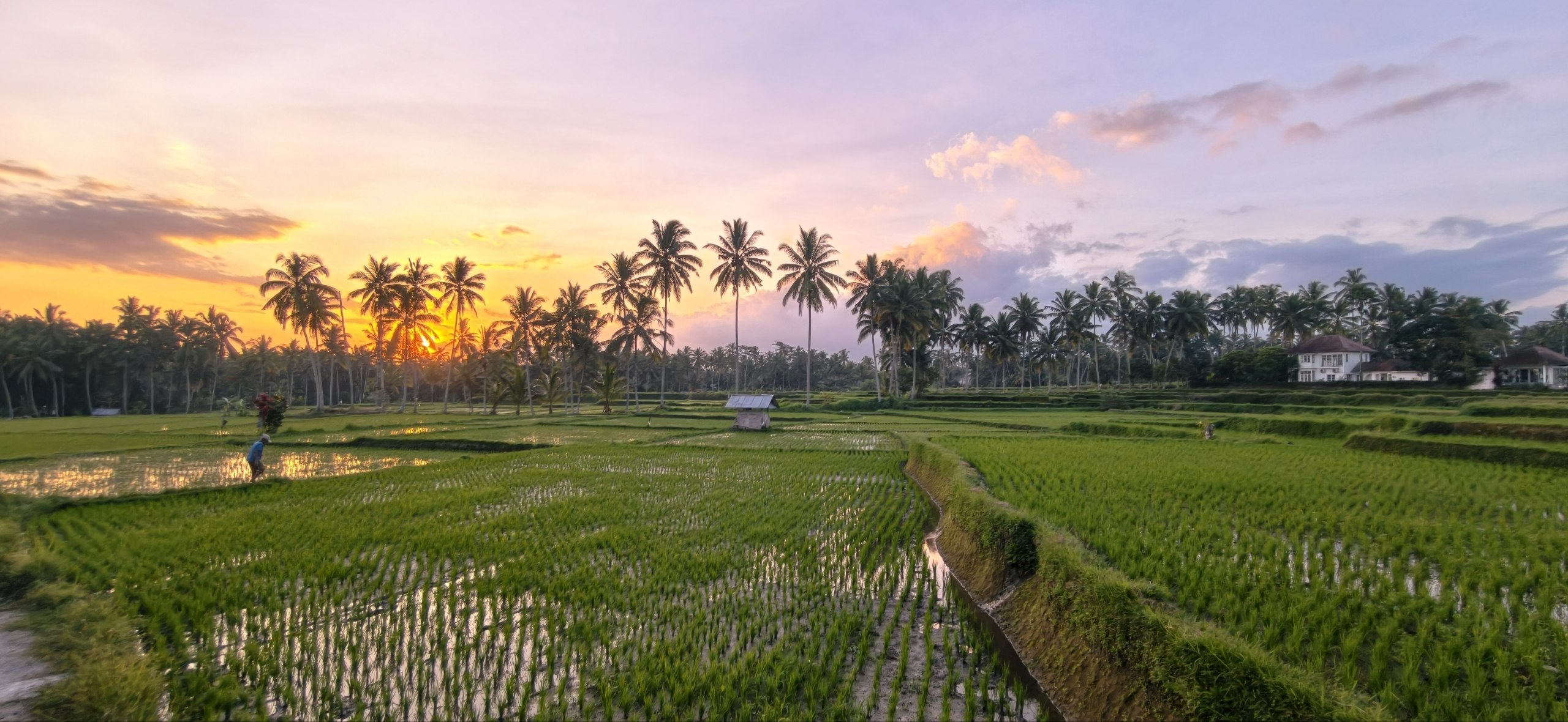 Вилла, 1 спальня