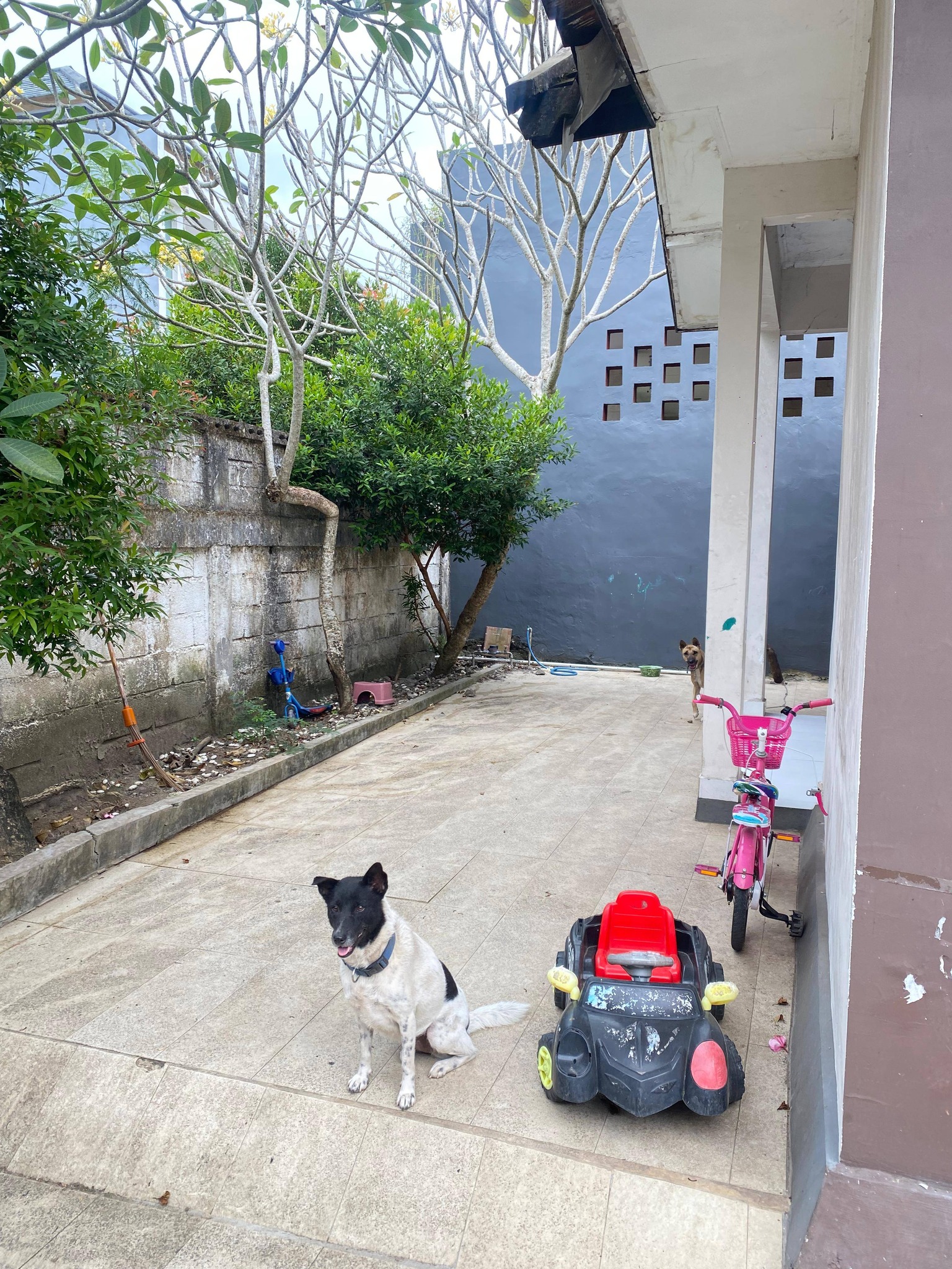 Дом, 2 спальни