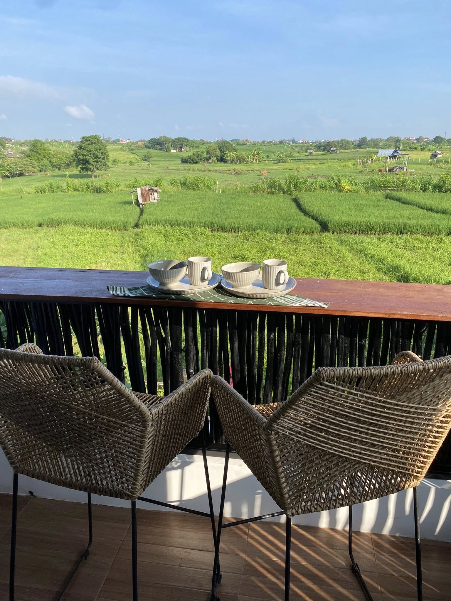 Апартаменты, 1 спальня