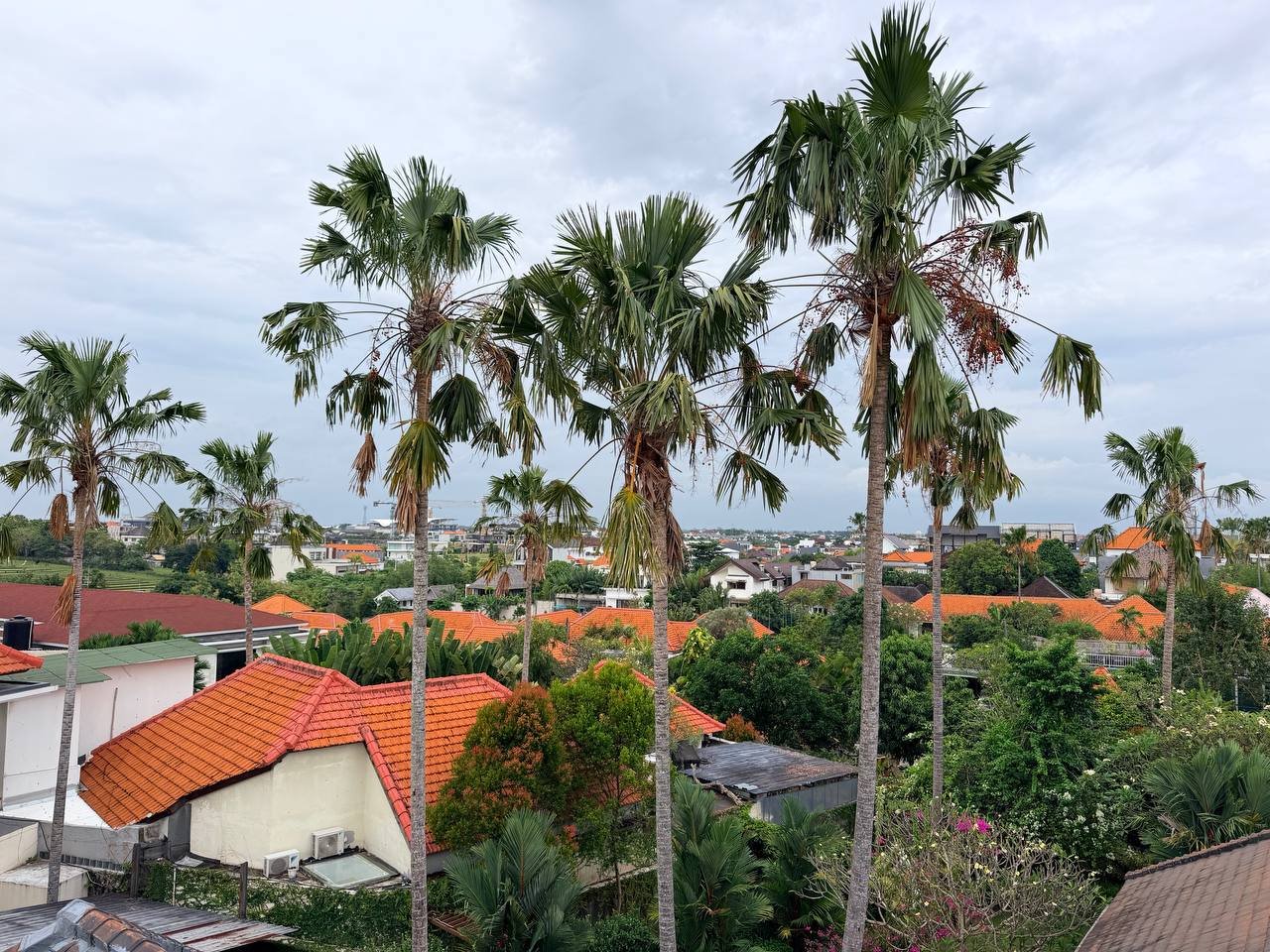 Апартаменты, 1 спальня