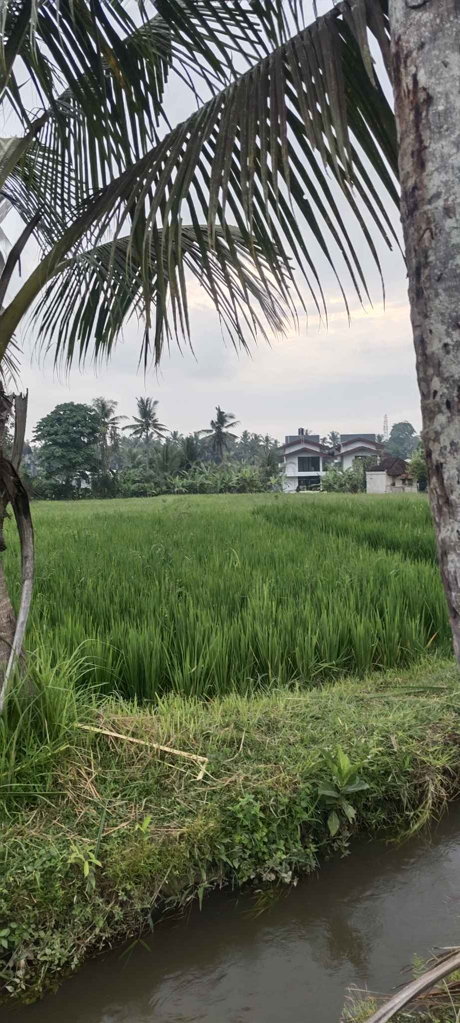 Дом, 1 спальня