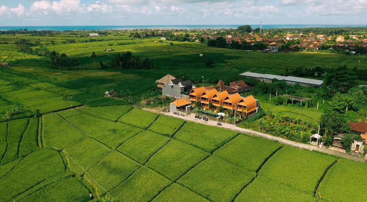 Объявление