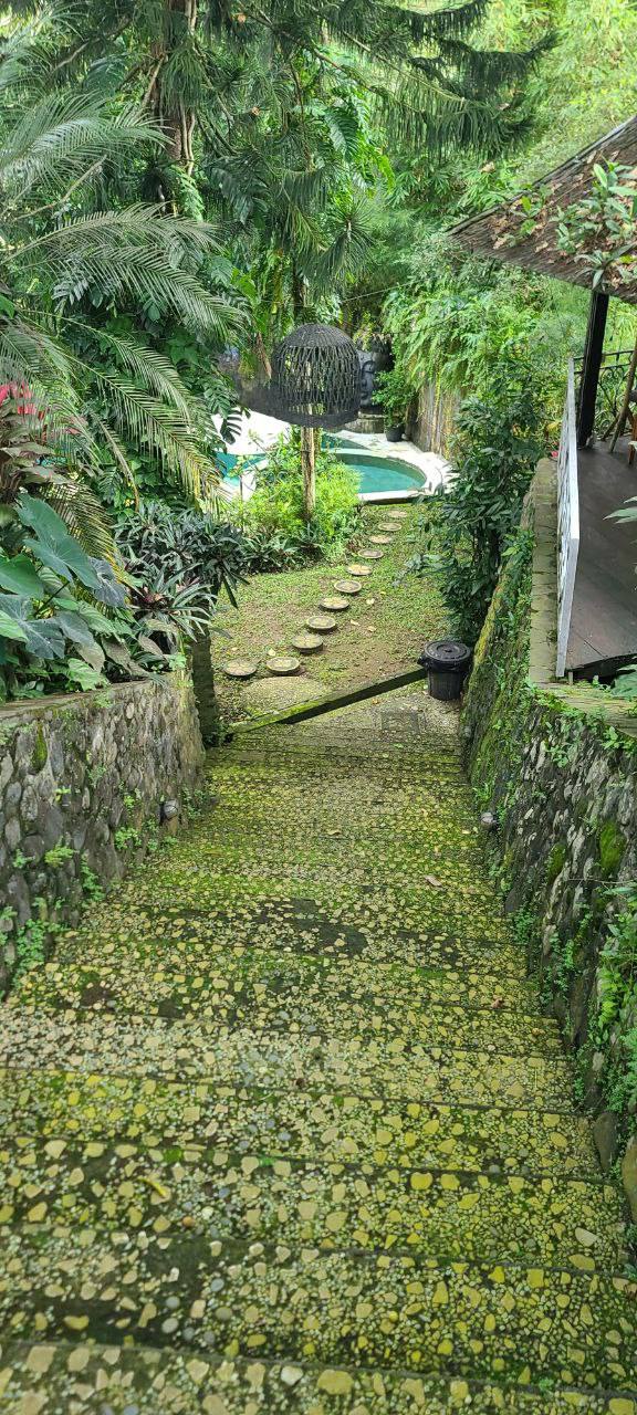 Отель, 1 спальня