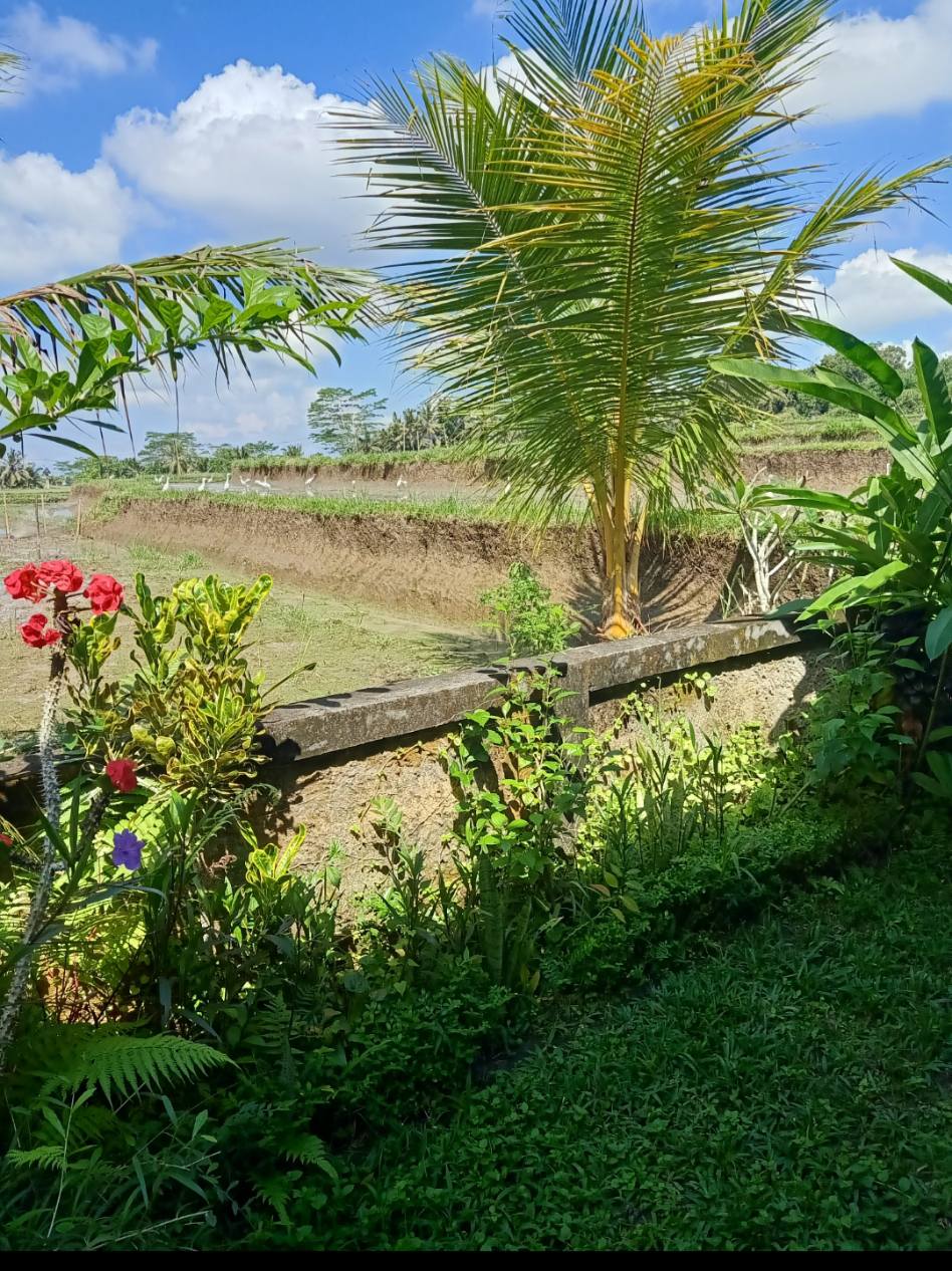 Дом, 2 спальни