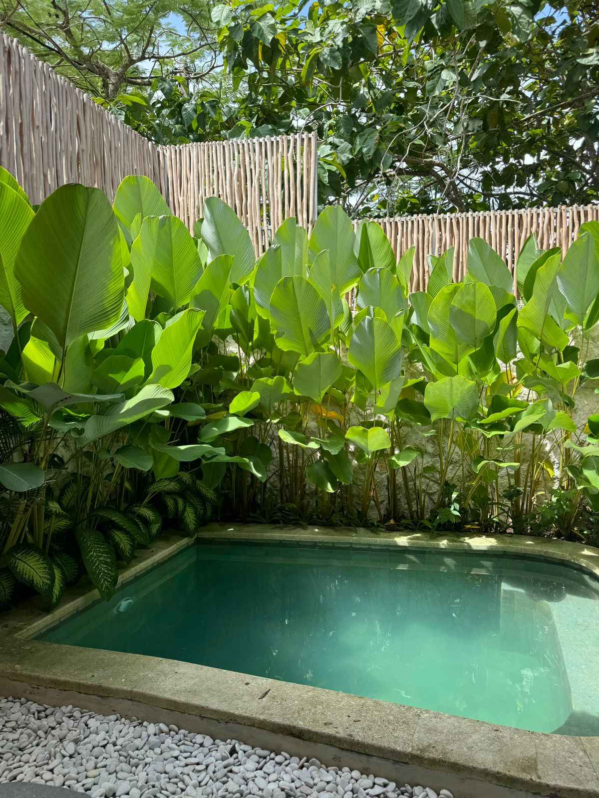 Вилла, 2 спальни