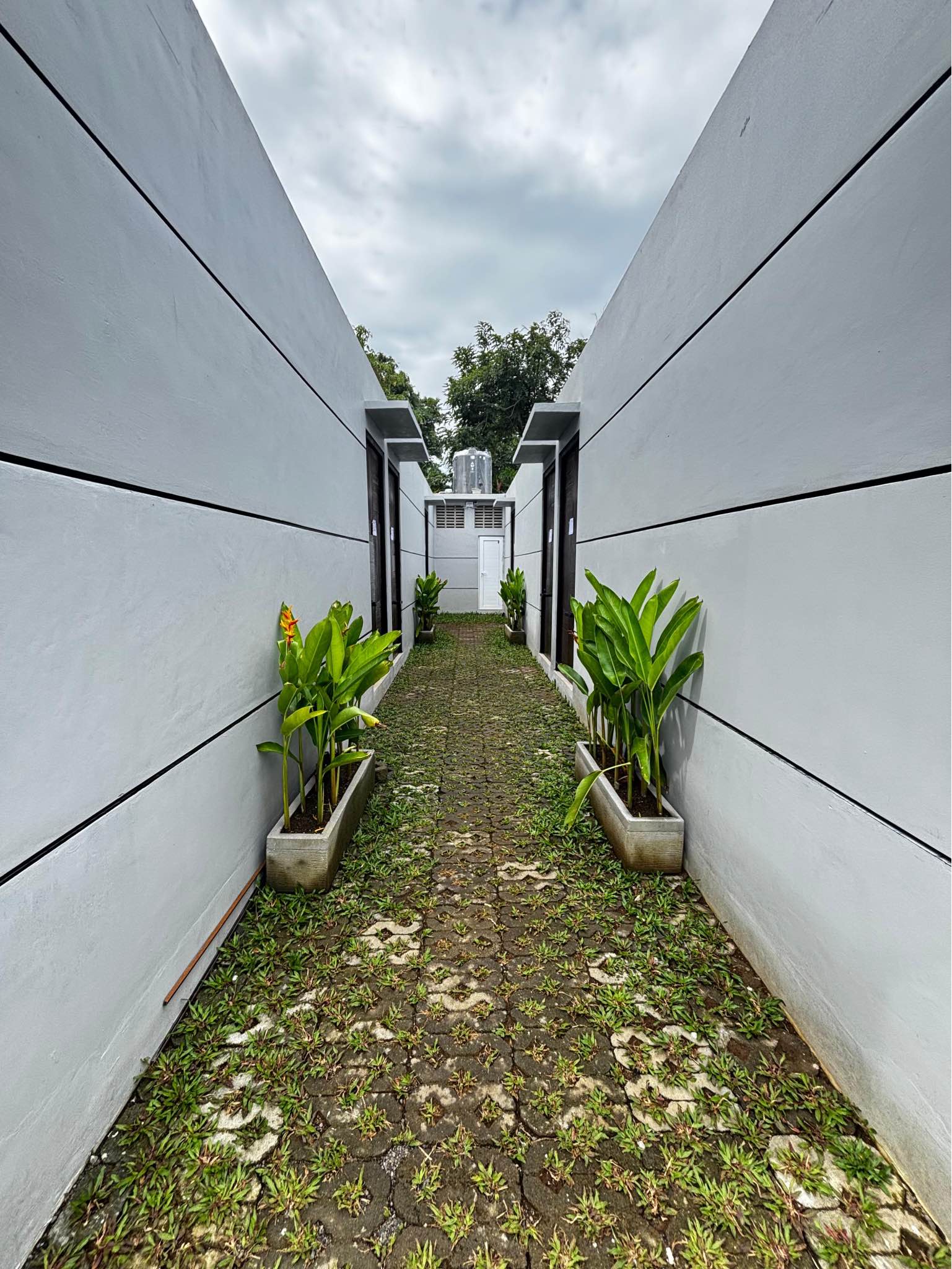 Дом, 1 спальня