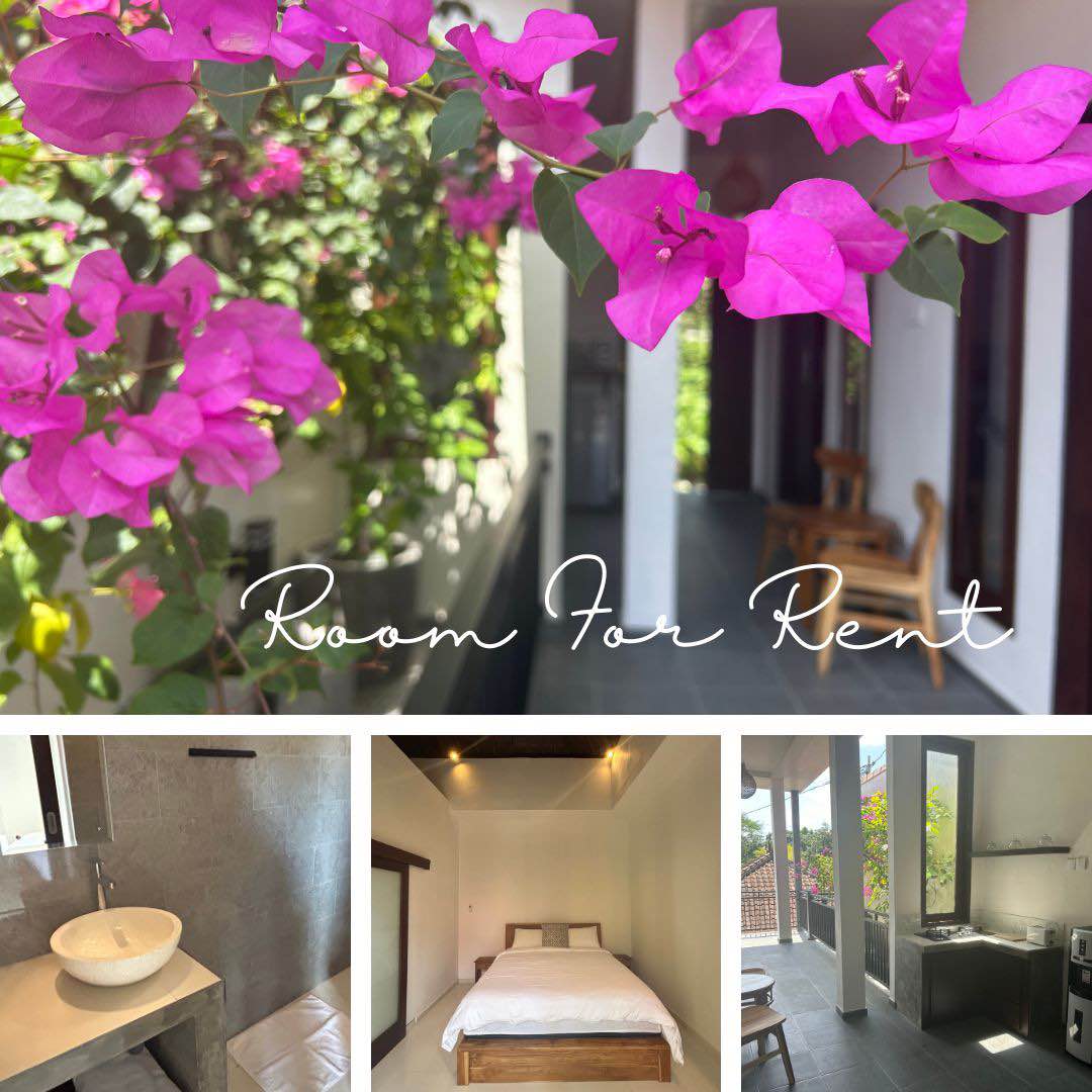 Апартаменты, 1 спальня