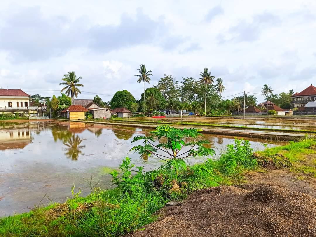 Дом, 1 спальня