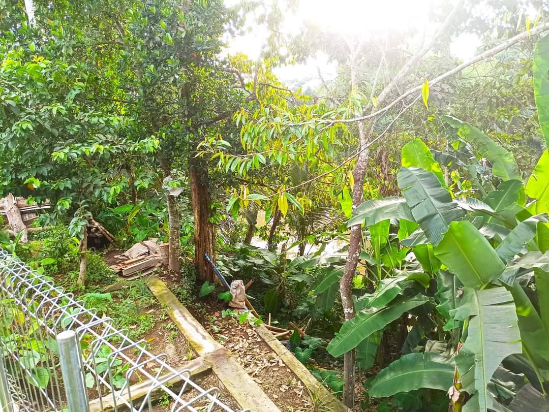 Дом, 1 спальня