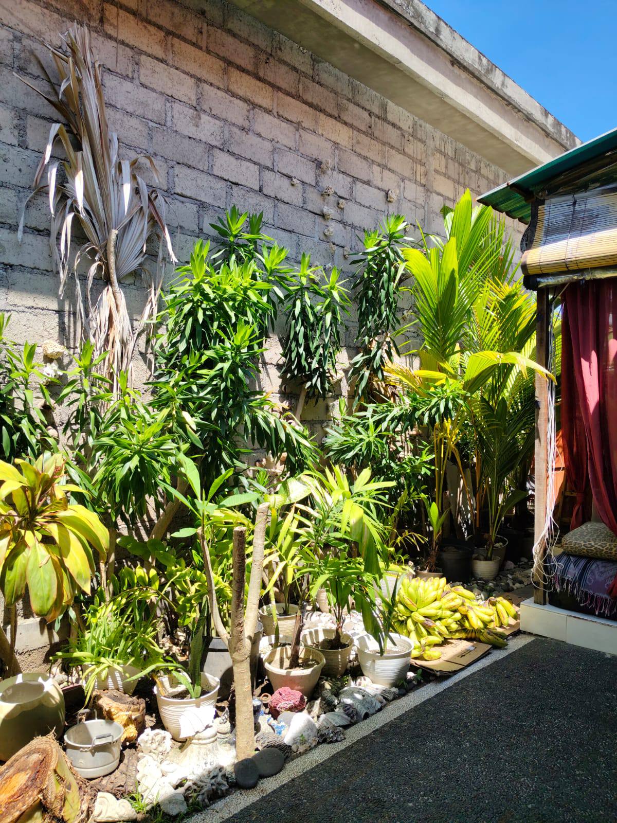 Апартаменты, 1 спальня