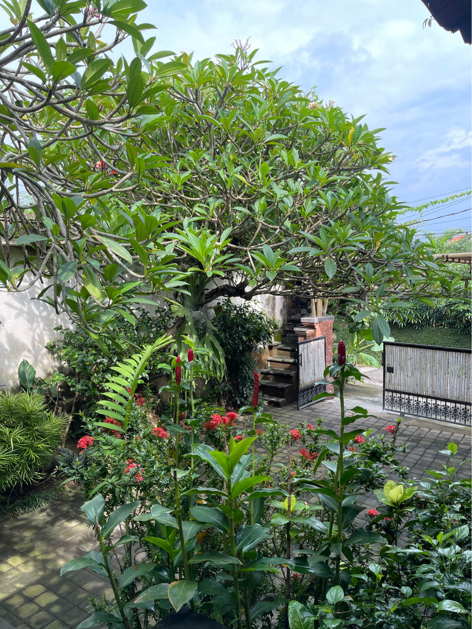 Апартаменты, 1 спальня