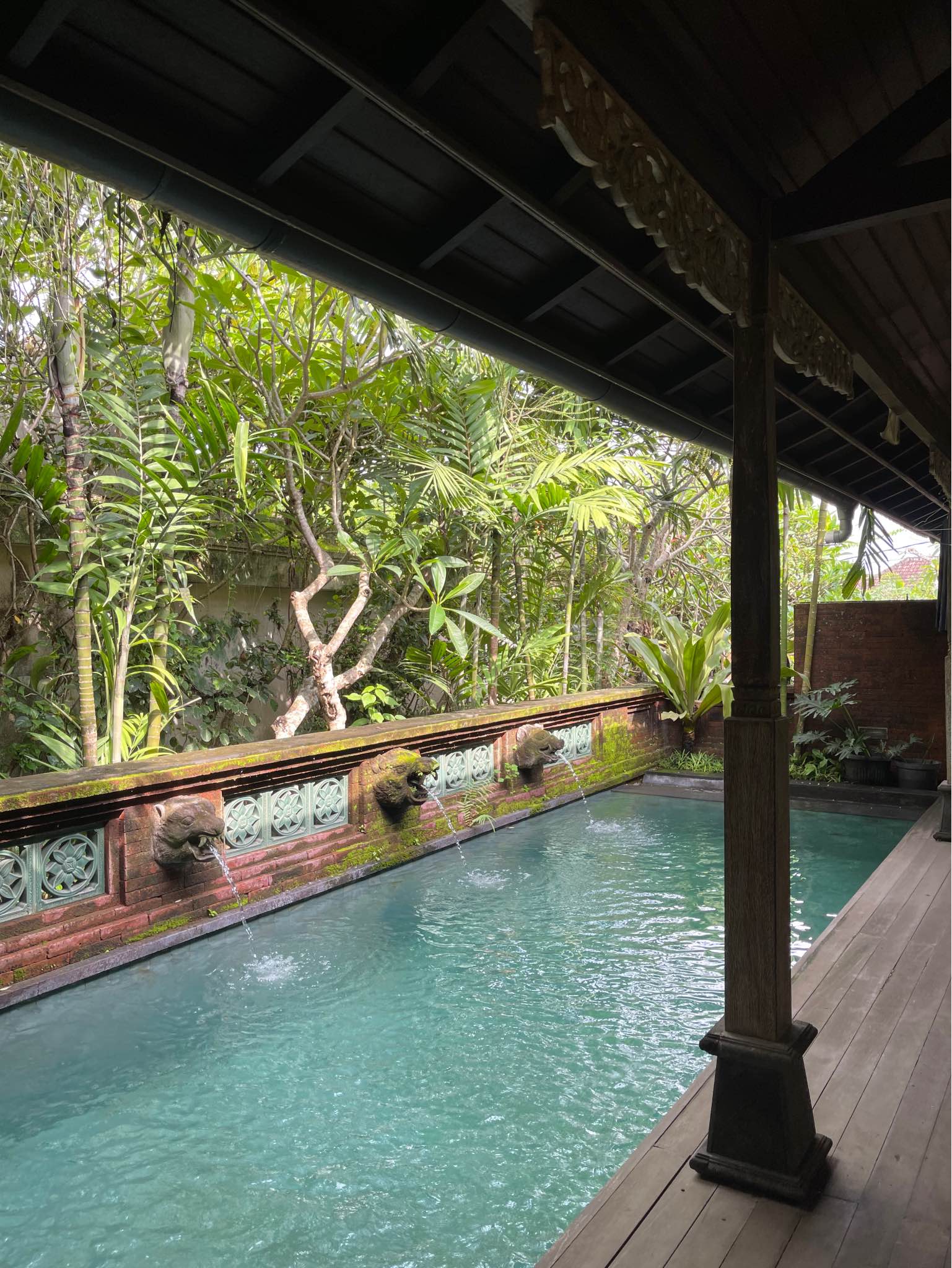 Апартаменты, 1 спальня