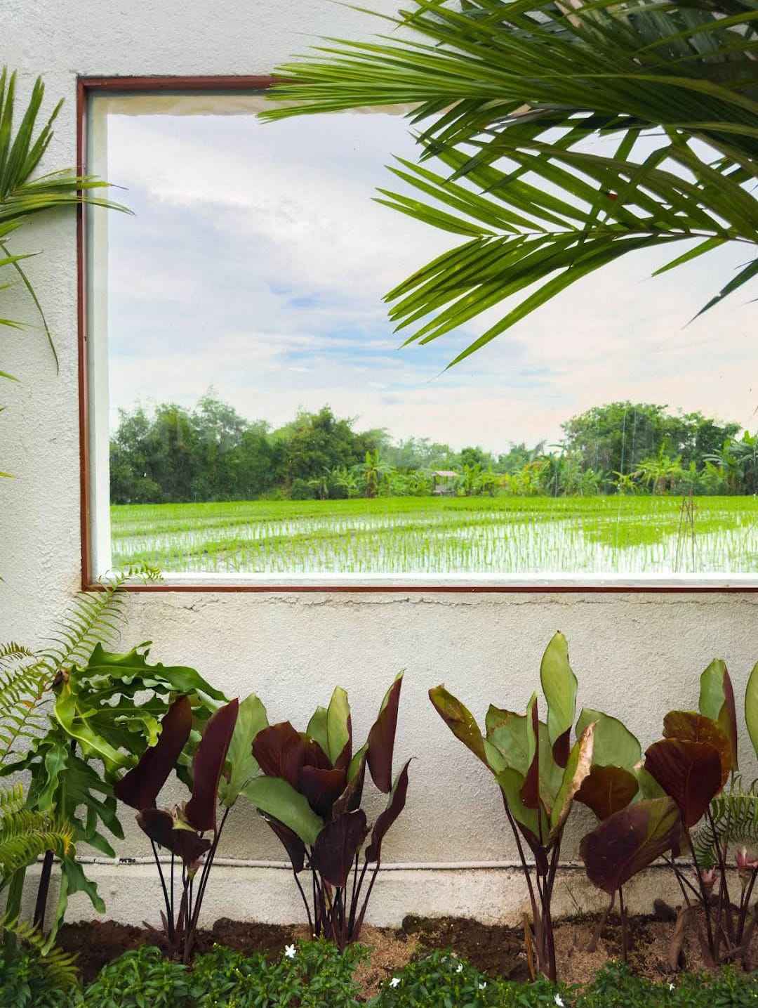 Вилла, 2 спальни