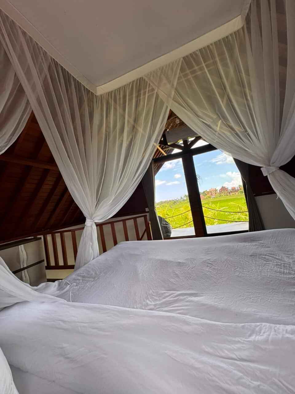 Дом, 1 спальня