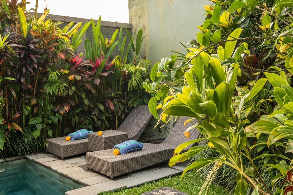 Дом, 1 спальня